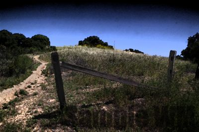 Landscape_03.jpg