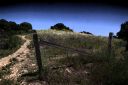 Landscape_03.jpg