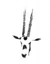 horns2.jpg