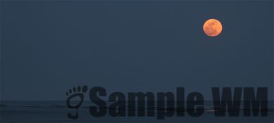 Moon_small
