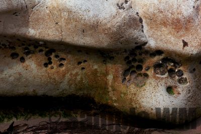 Rock_01
