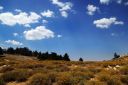 MountPinos.jpg
