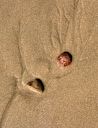 Filename=OceanStones.jpg
Filesize=273KiB
Dimensions=776x1008
Date added=Mar 20, 2023 OceanStones.jpg