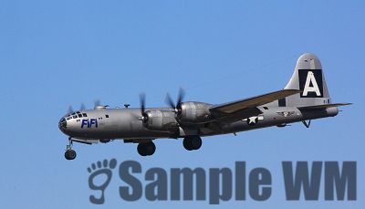 FiFi_02
