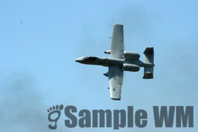 IMG_0293
