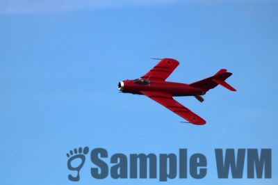 IMG_2367.jpg