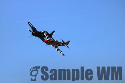 IMG_2635
