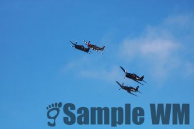 IMG_2646
