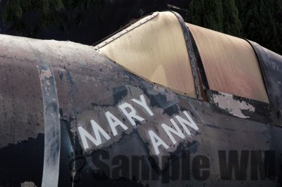 Marry Ann
Mary Ann taken at the Chino Air Museum. January 9, 2015.
Keywords: airplane;war bird;world war two;fighter plane